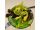 Avokado
