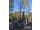 2025-04-13 Outdoor gym