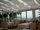 White tablecloths
