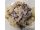 Pasta-oliiviöljy-sipuli-paprika-tomaatti-jauheliha-juusto