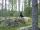 2000-08-28 Ihmisen paras ystävä