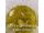 Extra virgin olive oil - carlic - onion