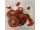 Tomato Nutritional Composition