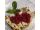 Red currants + cheese