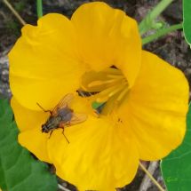 2016-07-31-00-00 Krasse