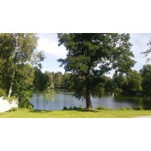 2019-07-10 Ukkijärvi