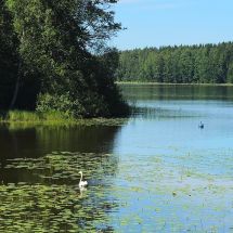2026-06-29 Kangasala