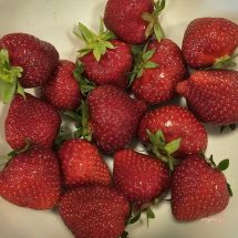 HMN26818 Strawberry