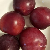 HSN26194 Prunus