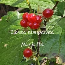 Marju Marja Marjatta Jaana Marianna Marianne Marita Maritta Marjaana Marjo Marjukka Marjut Jatta Marlene Molly