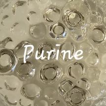 Puriini