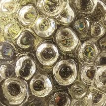 Fennel seeds