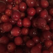 Lingonberry