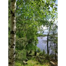2025-06-03 Viikinsaari