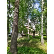 2025-06-03 Viikinsaari