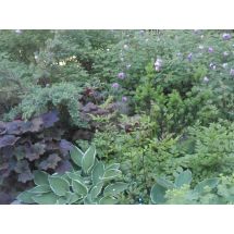 2012-06-29