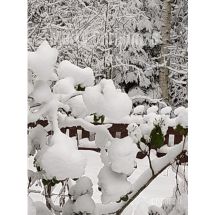 Card C - Merry Christmas