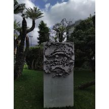 2025-01-23-11-36 Quinta Magnólia