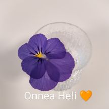 Onnea Heli