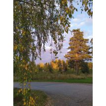 2025-10-03 Asikkala