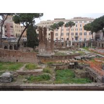 2009-03-24-15-35 Largo di Torre Argentina