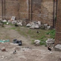 2009-03-24-15-35 Rooma Largo di Torre Argentina