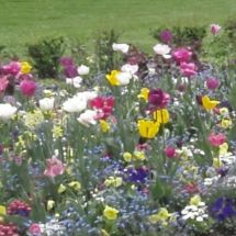 Hauskaa nimipäivää