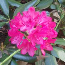 2011-06-10-10-34