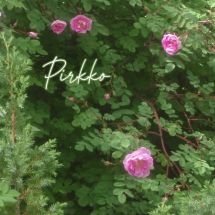 Pirkko Pipa