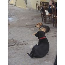 2009-11-05-17-45 Ateena