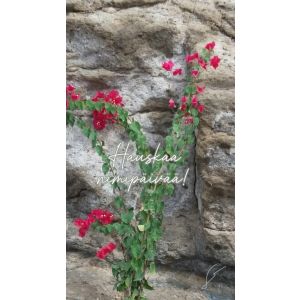 Kortti A - Hauskaa nimipäivää!