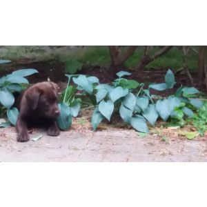 2019-08-10-20-35 Niin pieni