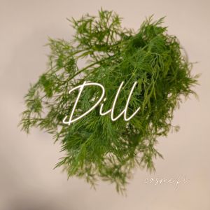 Dill