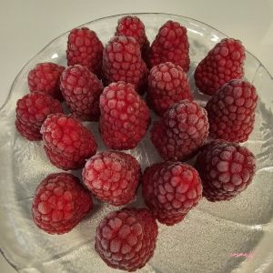 HVD26941 Raspberry