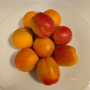 Aprikoosi