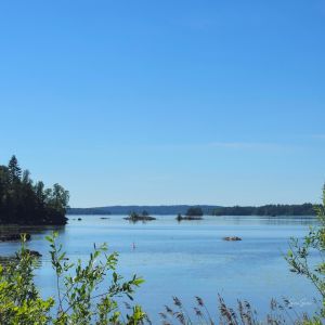 2026-06-29 Kangasala