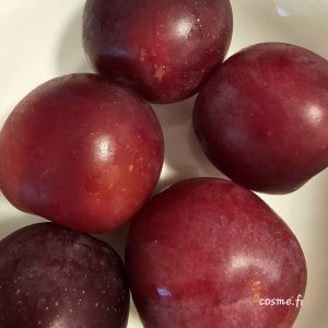 HSN26194 Prunus
