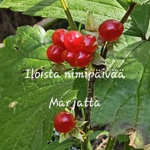 Marju Marja Marjatta Jaana Marianna Marianne Marita Maritta Marjaana Marjo Marjukka Marjut Jatta Marlene Molly