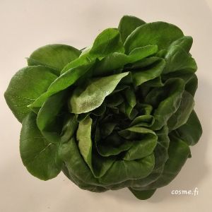 Kievari Sallad