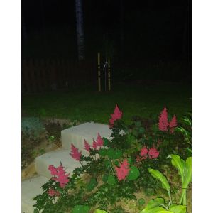 2020-07-20