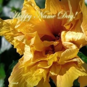 Card F - Happy Name Day!