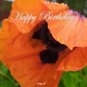 Card B - Happy Birthday