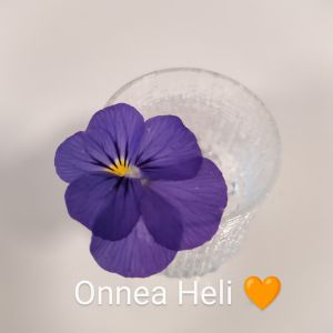 Onnea Heli