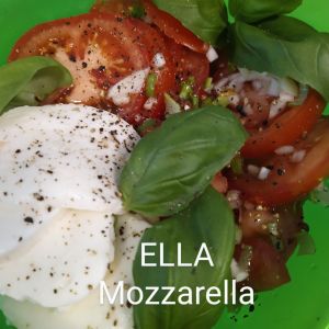 ELLA Mozzarella