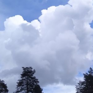 HNP27146