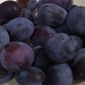 Luumu - Prunus domestica 'Sinikka'
