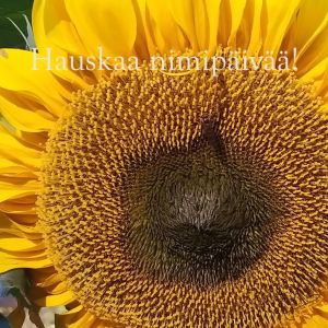 Hauskaa nimipäivää!