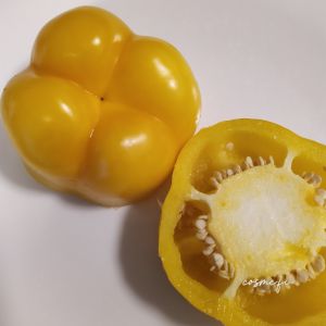 Yellow bell pepper
