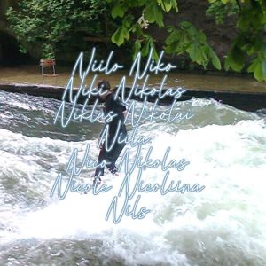 Niilo Niko Niki Nikolas Niklas Nikolai Niila Nico Nicolas Nicole Nicoliina Nils