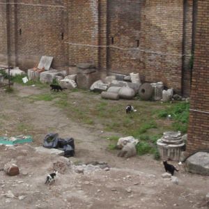 2009-03-24-15-35 Rooma Largo di Torre Argentina